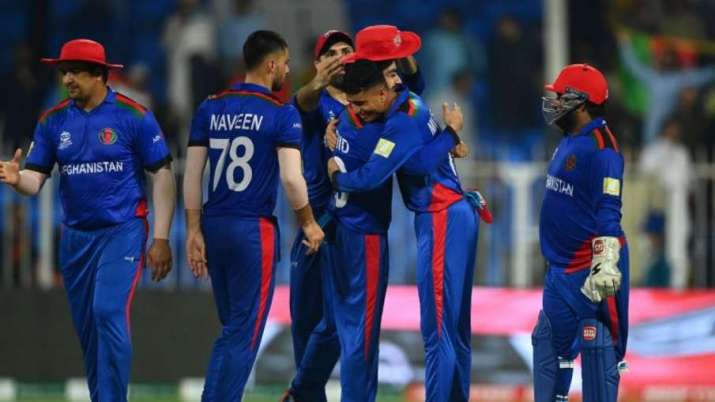 T20 World Cup 2021: Afghanistan players celebrating after taking wicket