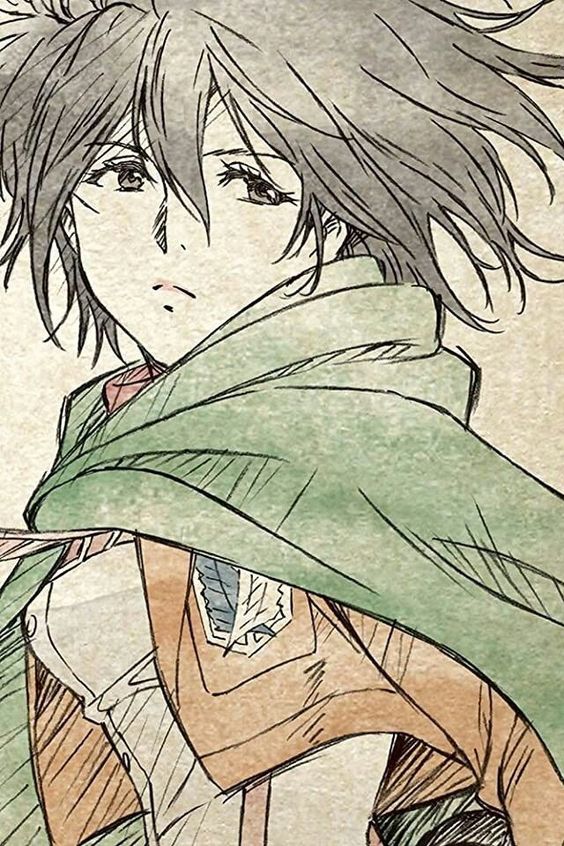 Mikasa of attack on titan anime